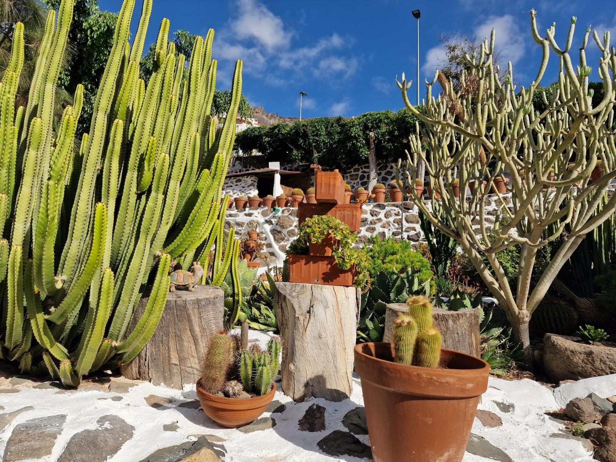 Historica Casa Con Vistas Al Jardin De Cactus Y Montanas Villa Mogan Exterior photo